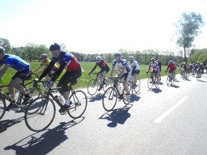 RTF Celle 2011 Manfred 105